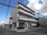 Co Lion 03