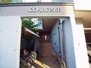  Co Lion 03