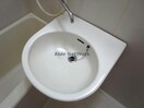 ※参考写真 サープラスワンサンシャイン