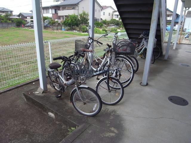  サープラスワンサンシャイン