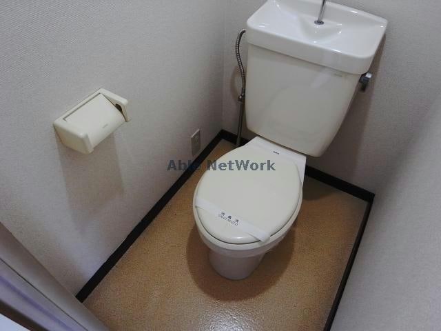 ※参考写真 サープラスワンサンシャイン