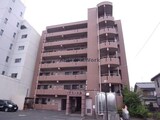 アコールヤマショウ