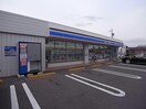 ローソン岐阜東栄町店(コンビニ)まで924m グリーンヒルズ
