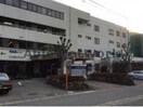 医療法人慈朋会澤田病院(病院)まで456m グレイスマルエイ
