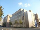 朝日大学病院(病院)まで661m サンライズＳ