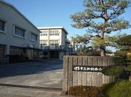 岐阜市立加納西小学校(小学校)まで213m アヴァンセ加納