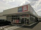 ウエルシア岐阜琴塚店(ドラッグストア)まで227m パビリオントーカイ