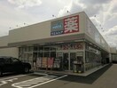 ウエルシア岐阜琴塚店(ドラッグストア)まで830m Warm（ヴァルム）