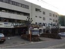 医療法人慈朋会澤田病院(病院)まで1164m レヴァータ