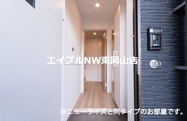 ネオグレイスさい