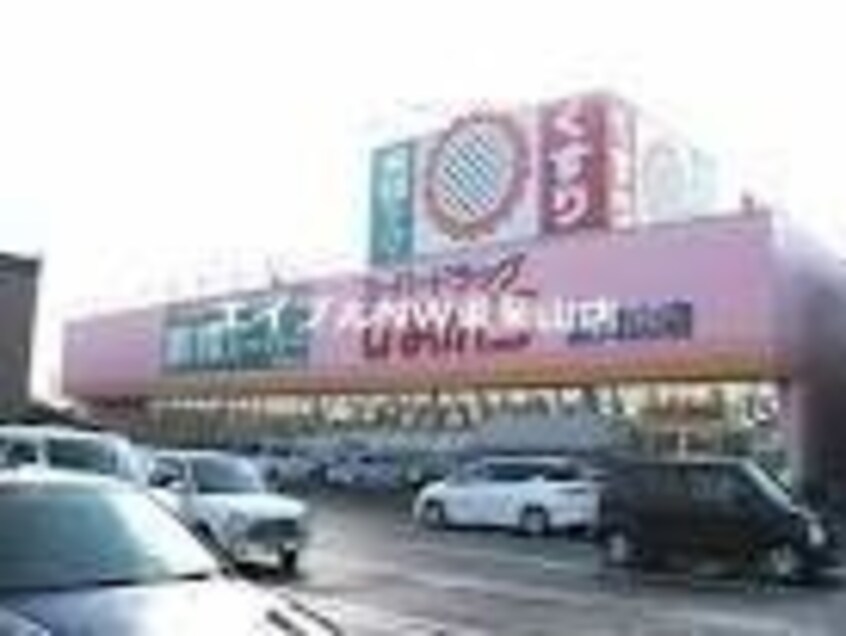 スーパードラッグひまわり山陽店(ドラッグストア)まで366m プレジールSANYO　B棟