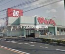 ハーティウォンツ東岡山店(ドラッグストア)まで1179m フェニックスＥ