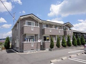 セレッソ