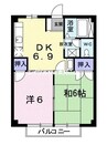 コスモハイツＡ 2DKの間取り