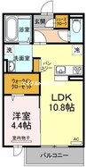 メゾンドソレイユ 1LDKの間取り