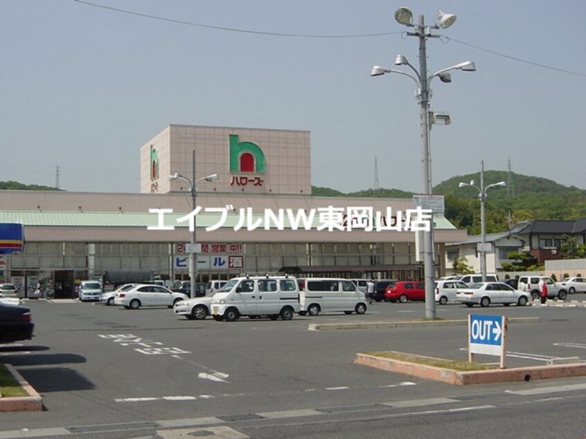 ハローズ円山店（２４時間営業スーパー）(スーパー)まで1570m キャンベルハイム