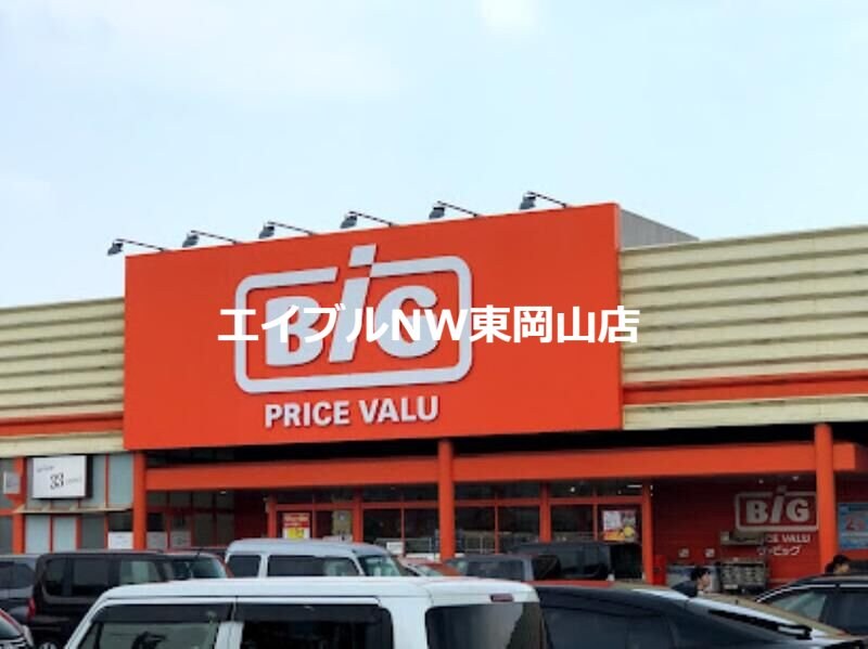 ザ・ビッグ平島店(電気量販店/ホームセンター)まで1713m Ｃｅｎｔｒａｌ　Ｓｔｅｅｄ