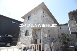 ハナミズキ　A