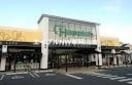ハピッシュ国府市場店(スーパー)まで3649m ヴィラゆずりは