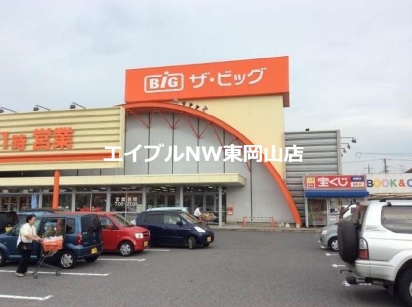 ザ・ビッグ平島店(電気量販店/ホームセンター)まで1980m ヌーヴォーシャンテＡ