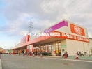 ザ・ビッグ平島店(ショッピングセンター/アウトレットモール)まで950m ガーデン五反田