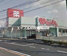 ハーティウォンツ東岡山店(ドラッグストア)まで330m パレス長岡第２