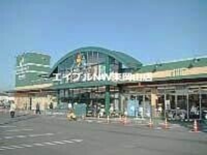ニシナフードバスケット西大寺店(スーパー)まで353m カプチーノ　Ａ