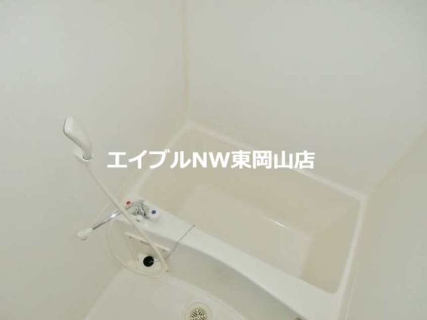  マリベールタマノ