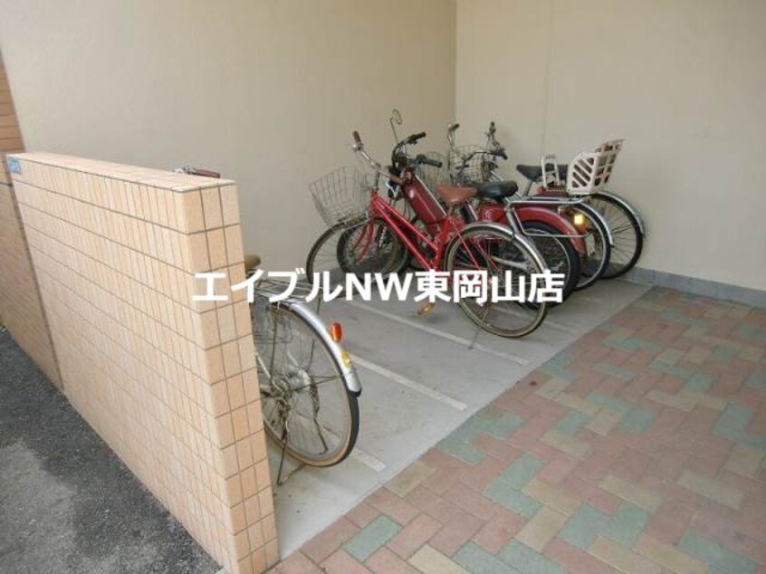  マリベールタマノ