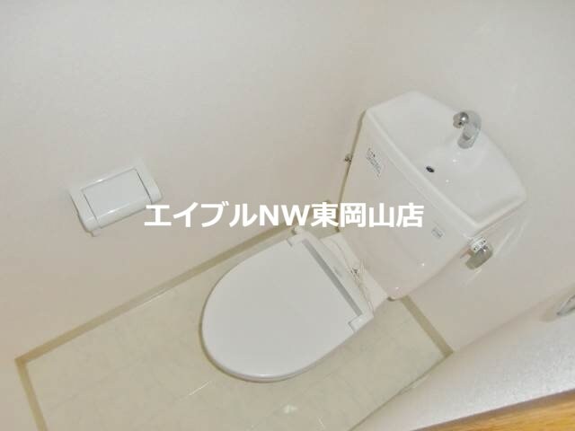  マリベールタマノ