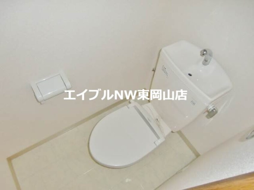  マリベールタマノ