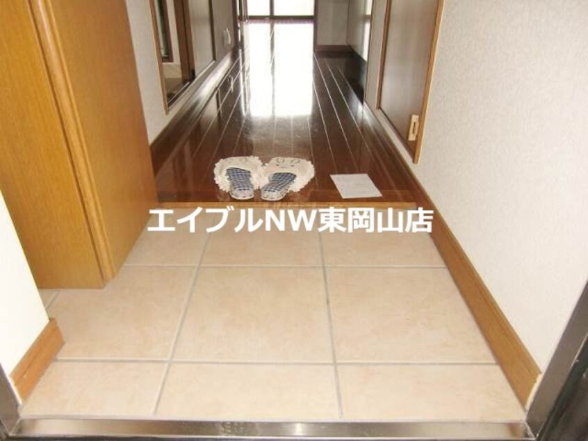 マリベールタマノ