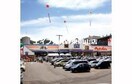 山陽マルナカ宇野店(スーパー)まで254m マリベールタマノ