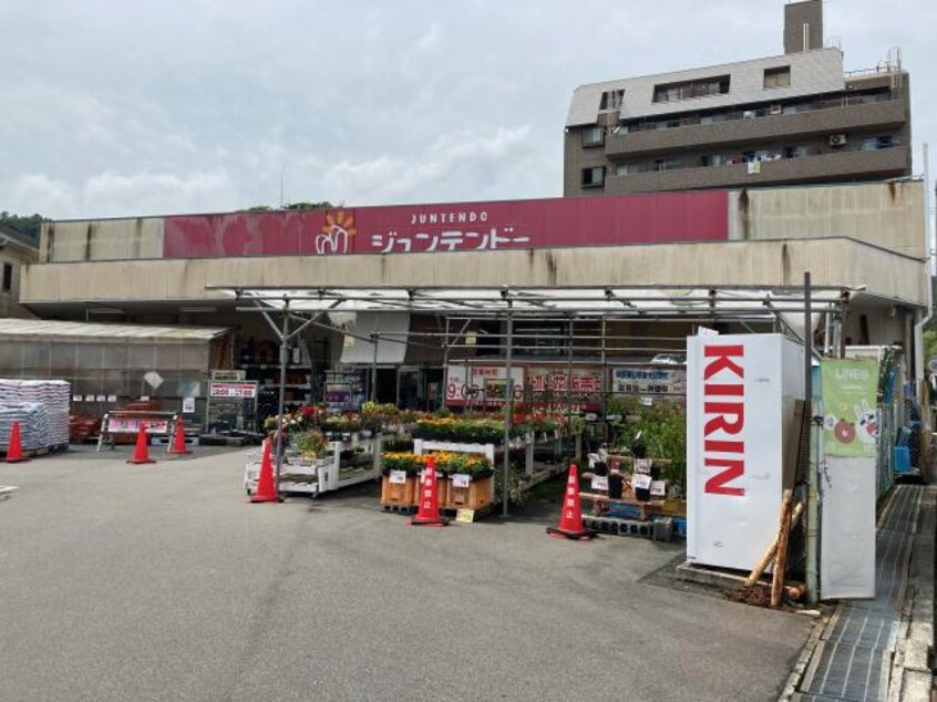 ホームセンタージュンテンドー岩国店(電気量販店/ホームセンター)まで186m ルネス・オーワン