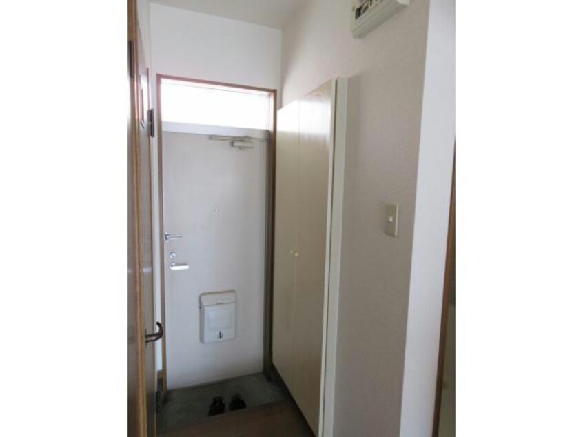  ｃｏｍｏｄｏマリフ