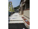  アルバカーサ