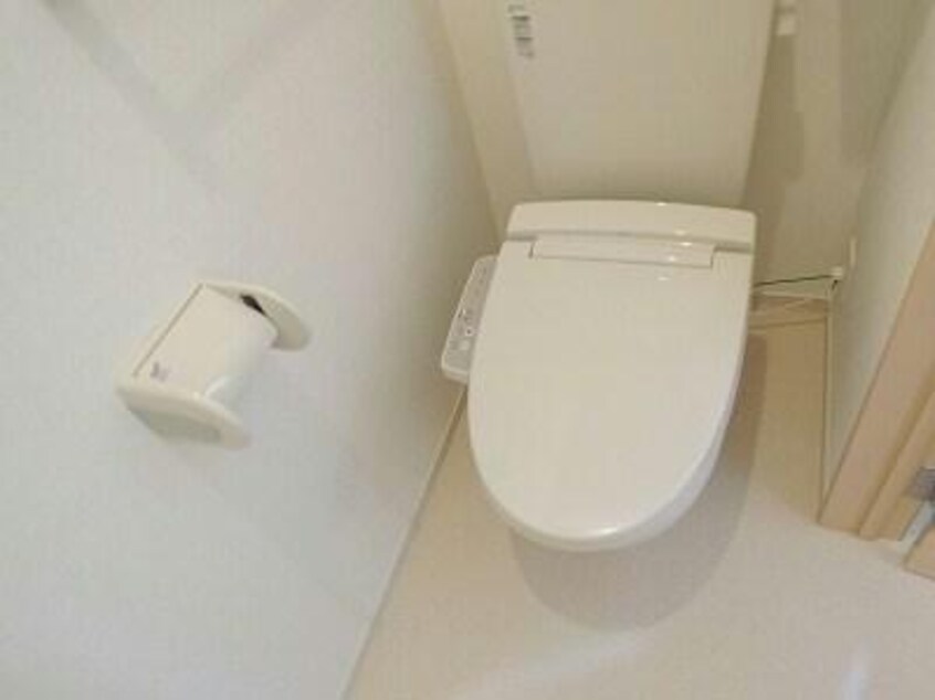  アルバカーサ