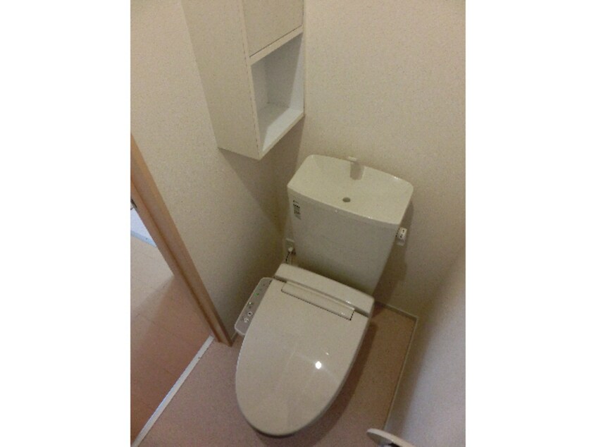  サニーコッティA