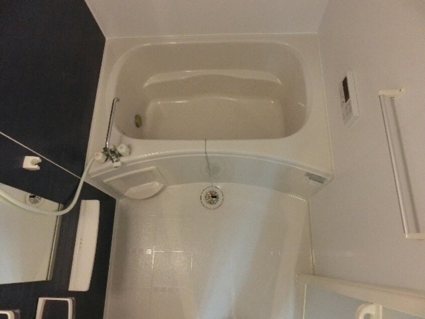  サニーコッティA