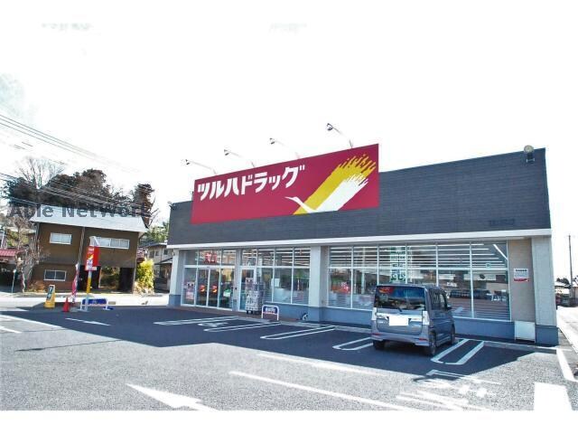 ツルハドラッグ常陸太田宮本店(ドラッグストア)まで163m ほうれん荘Ｂ