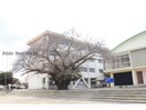 日立市立大久保小学校(小学校)まで1362m ハイツ興和