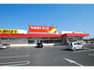 調剤薬局ツルハドラッグ常陸太田店(ドラッグストア)まで345m 富山マンション