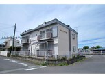 ハイライフシーマ
