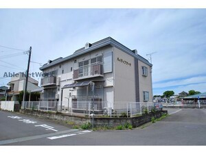 ハイライフシーマ