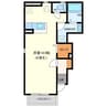 ＣｏｔｔｏｎＨｉｌｌｓ 1Rの間取り