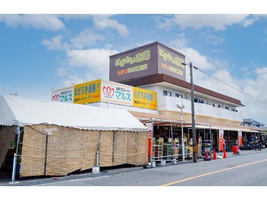 にぎわい市場マルス半田乙川店(スーパー)まで818m グリーンビル