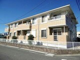 トールスター