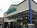 ISHIHARA東洋店(スーパー)まで172m シャネルスイート