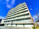 リンデンバウムJ3の外観