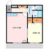 サンライズ 1LDKの間取り